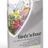 RFSU Birds n Bees (10er Packung)