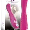 Harmonia 2 rose