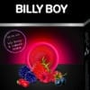 Billy Boy Very Berry (6 Kondome)