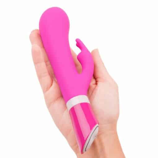 products bswish bwild raspberry hand liegend